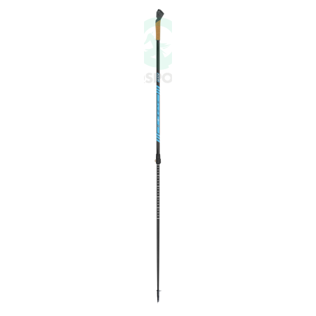 Nordic Walking hole KV+ Alps 2