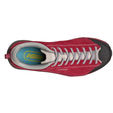 Asolo Space GV ML gerbera