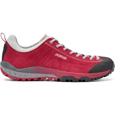 Asolo Space GV ML gerbera