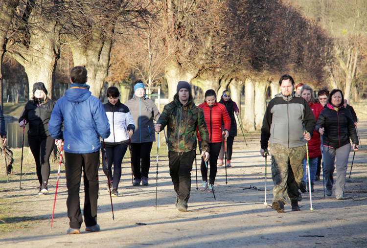 Kurzy Nordic Walking iQSPORT